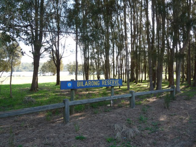 Bilarong Reserve Narrabeen